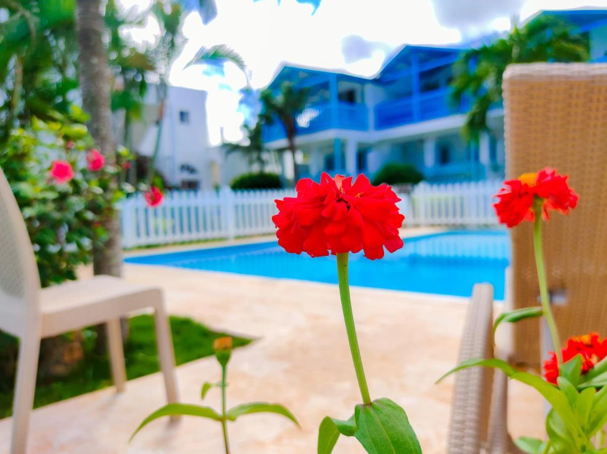 B&B Aparthotel La Isleta Las Galeras Dış mekan fotoğraf